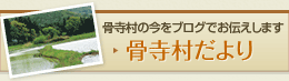 骨寺村だより